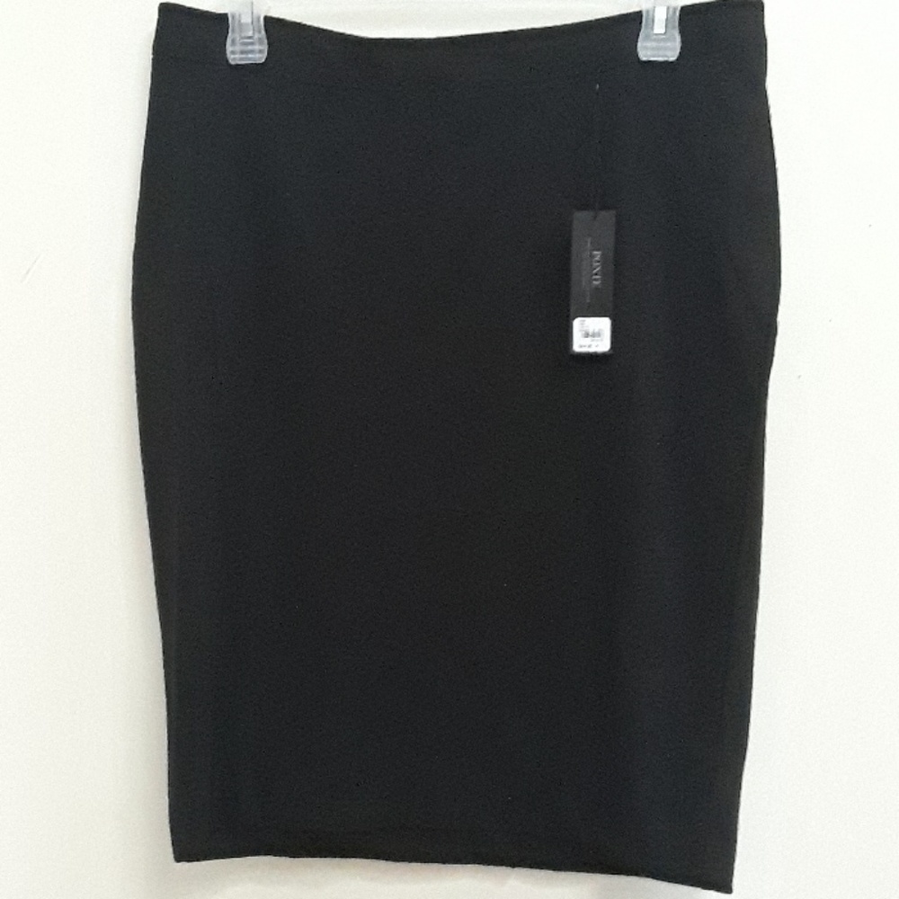 Lane Bryant Skirt